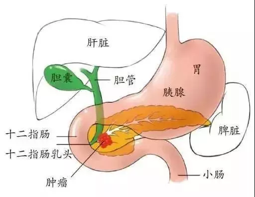 640 (1).png 640 (1).png